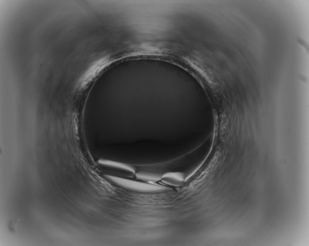 X0000097641455200802291352
