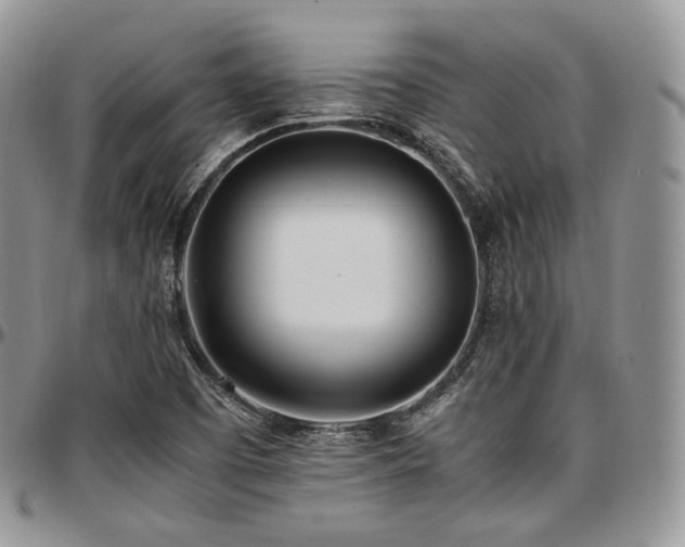 X0000097641457200802291352