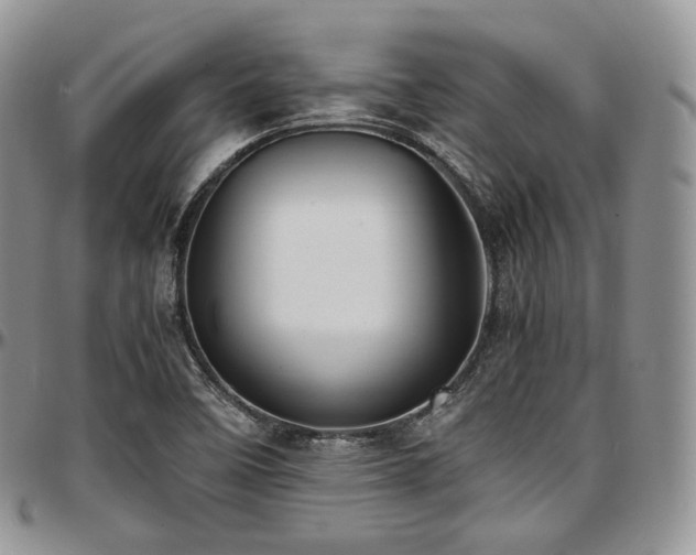 X0000097641458200802291352