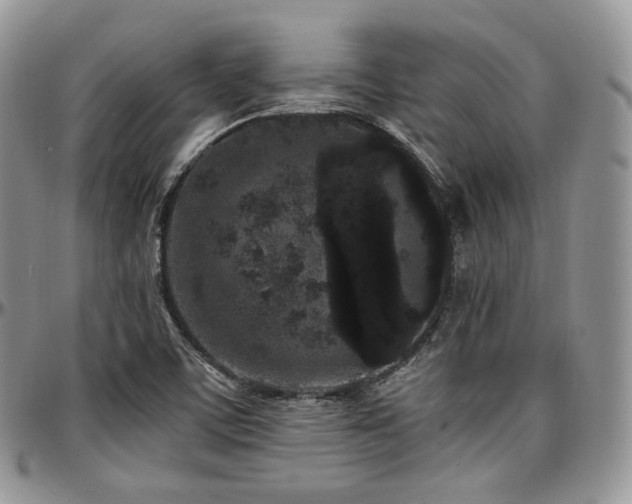 X0000097641459200802291352