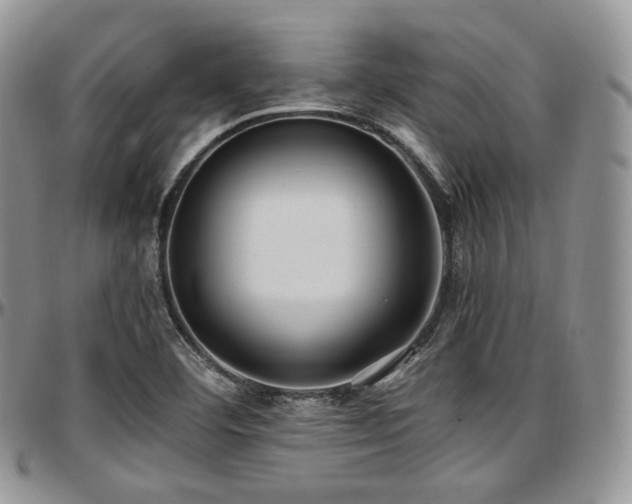 X0000097641460200802291352