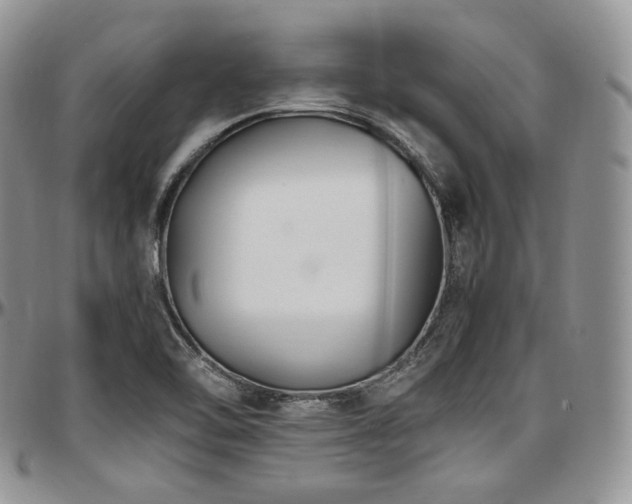 X0000097641462200802291352