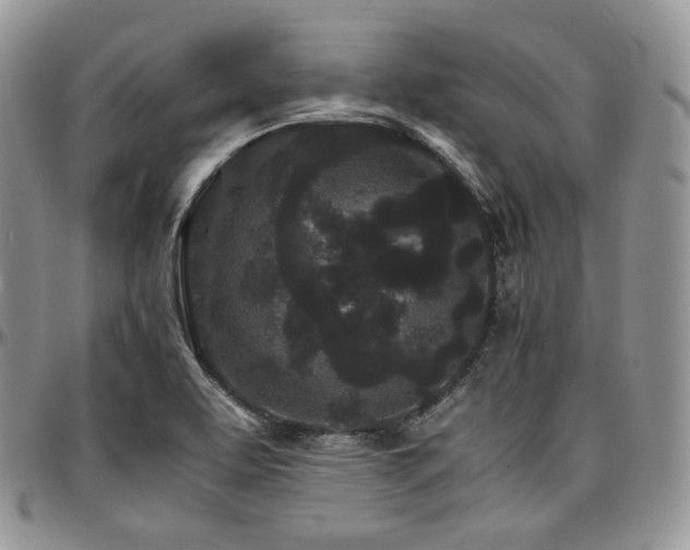 X0000097641463200802291352