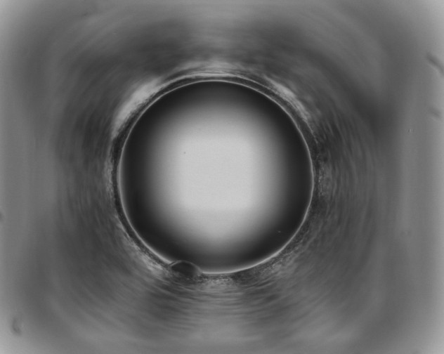 X0000097641464200802291352