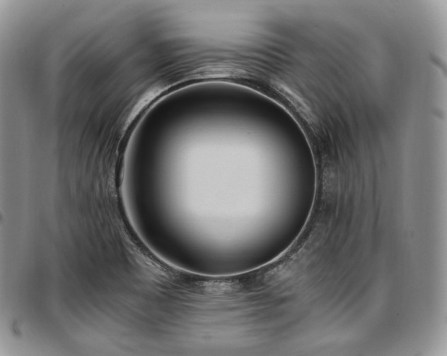 X0000097641465200802291352
