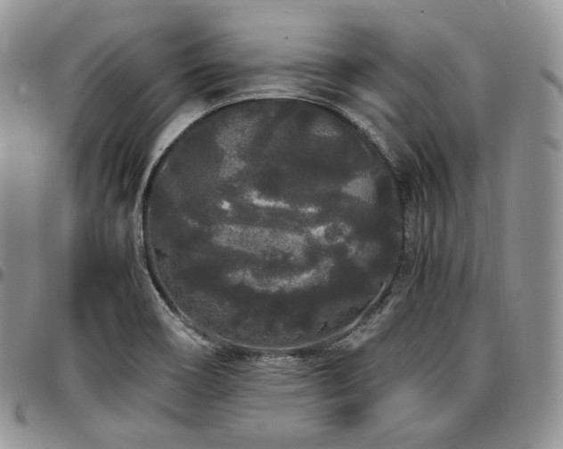 X0000097641466200802291352