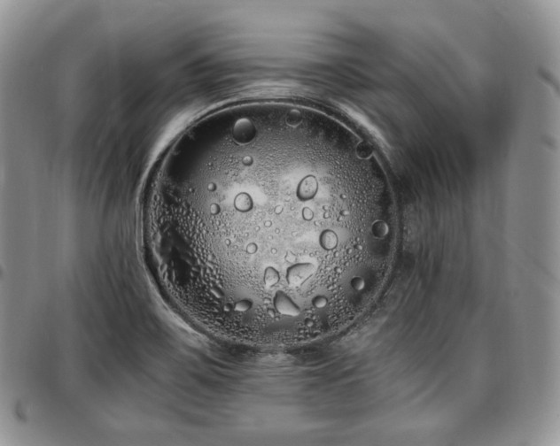 X0000097641467200802291352