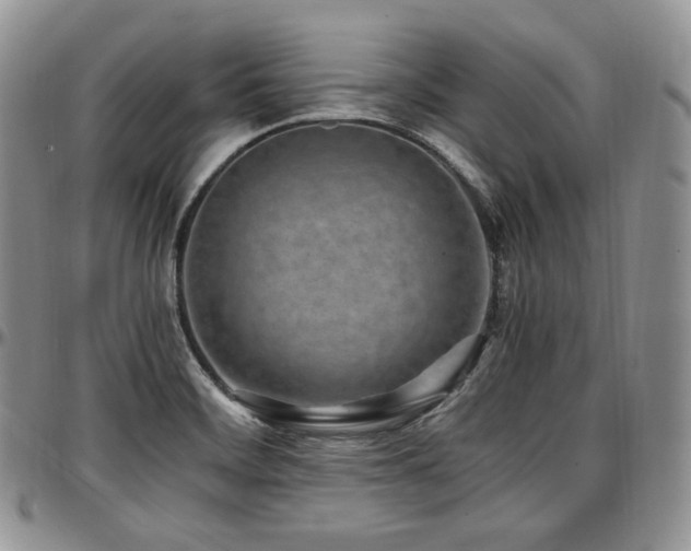 X0000097641468200802291352