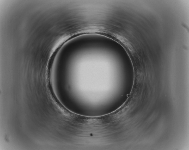 X0000097641469200802291352
