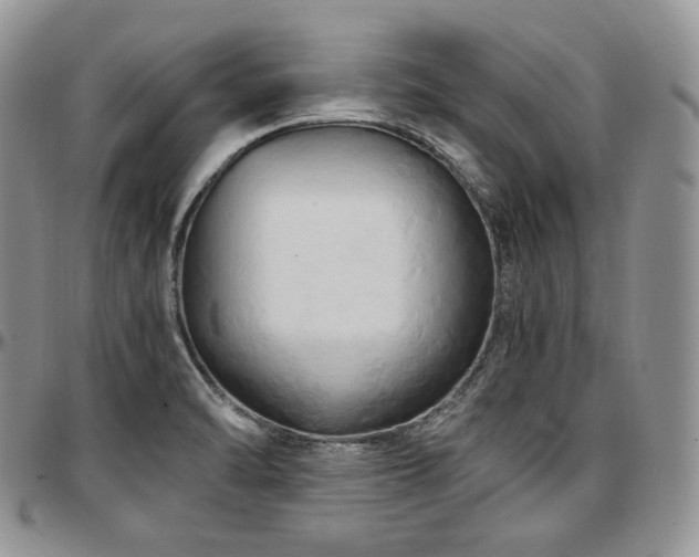 X0000097641470200802291352