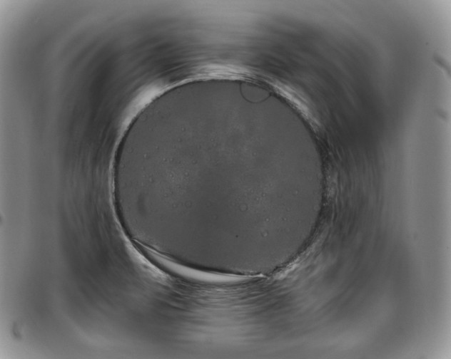 X0000097641471200802291352