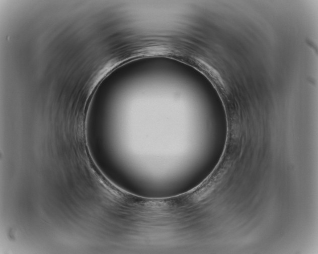 X0000097641473200802291352