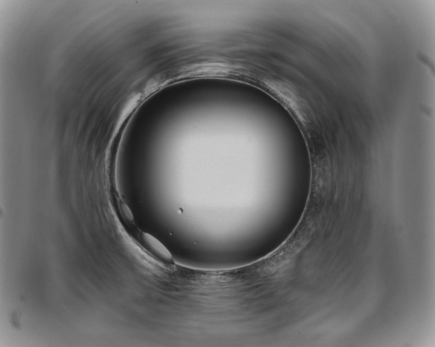X0000097641475200802291352