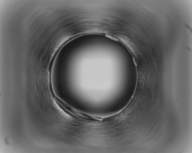 X0000097641476200802291352