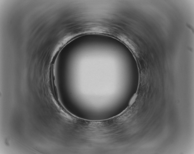 X0000097641477200802291352