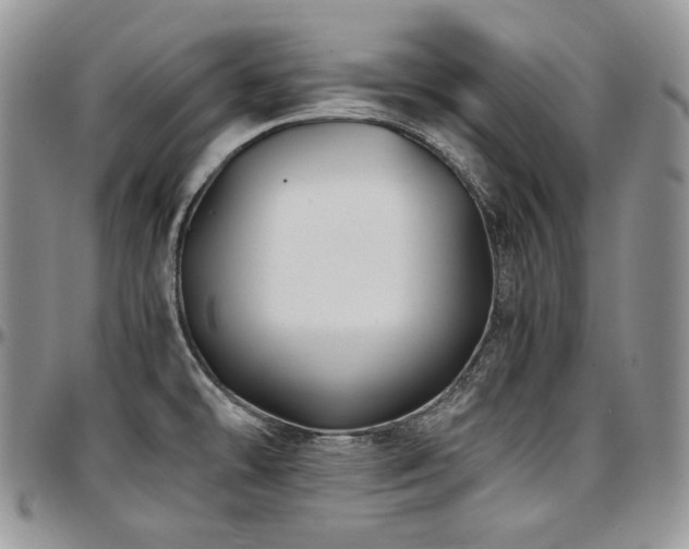 X0000097641478200802291352