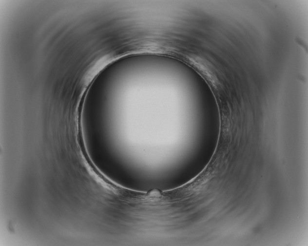 X0000097641479200802291352