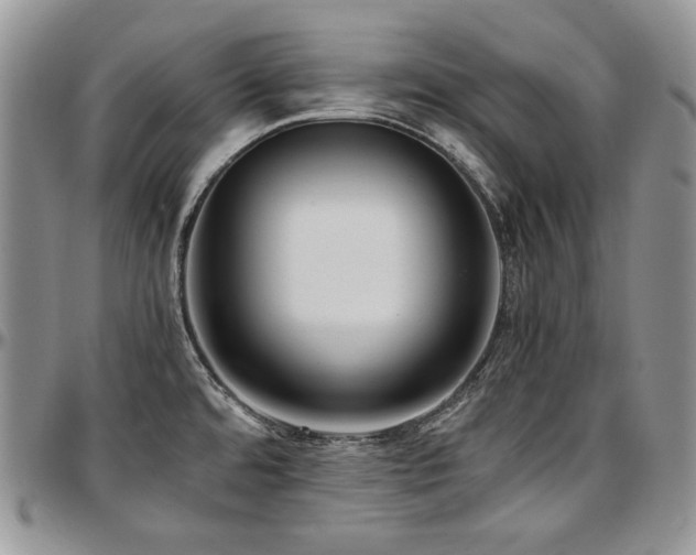 X0000097641480200802291352