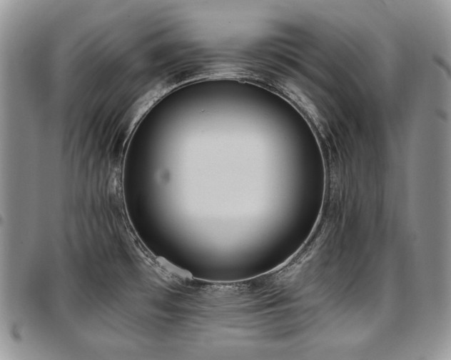 X0000097641481200802291352