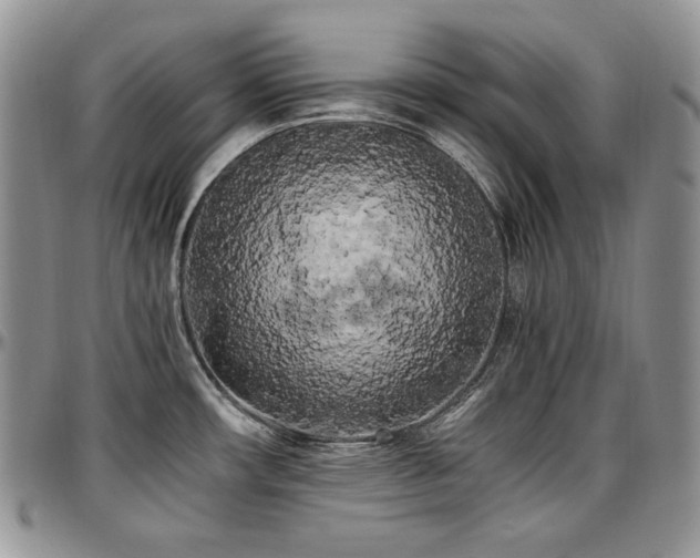 X0000097641482200802291352