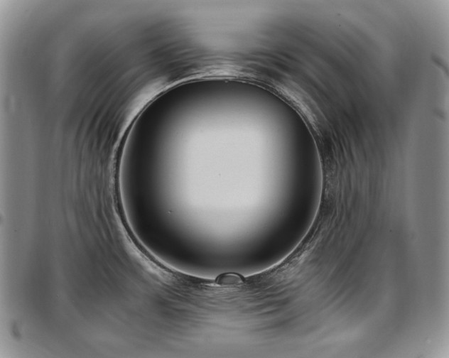 X0000097641483200802291352