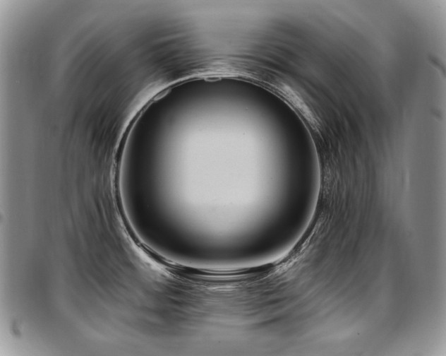 X0000097641484200802291352