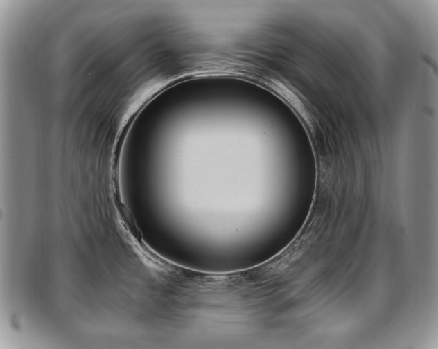 X0000097641485200802291352