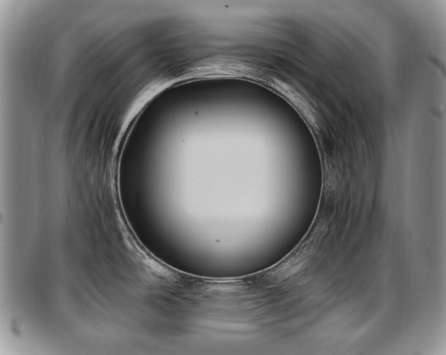 X0000097641486200802291352