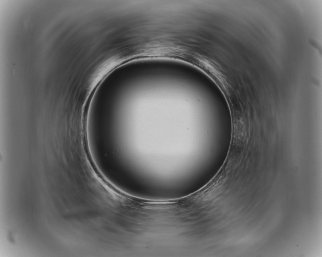 X0000097641487200802291352