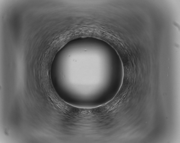 X0000097641489200802291351