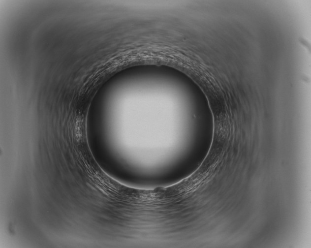 X0000097641490200802291351