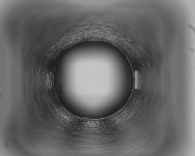 X0000097641491200802291351