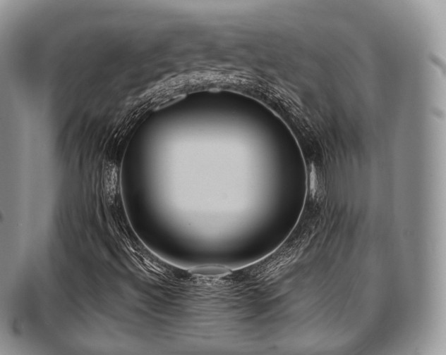 X0000097641492200802291351