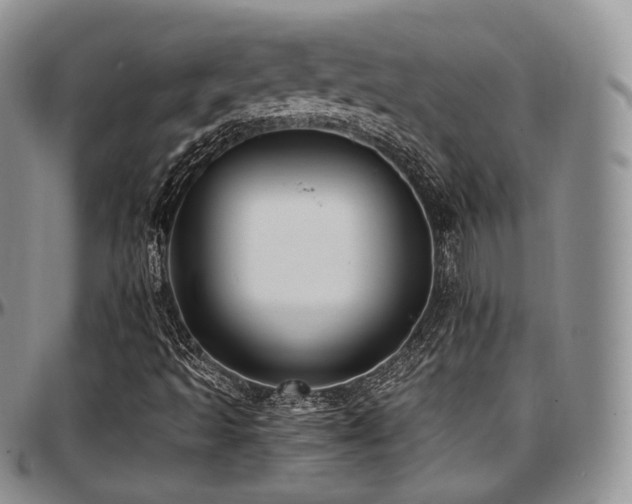 X0000097641493200802291351