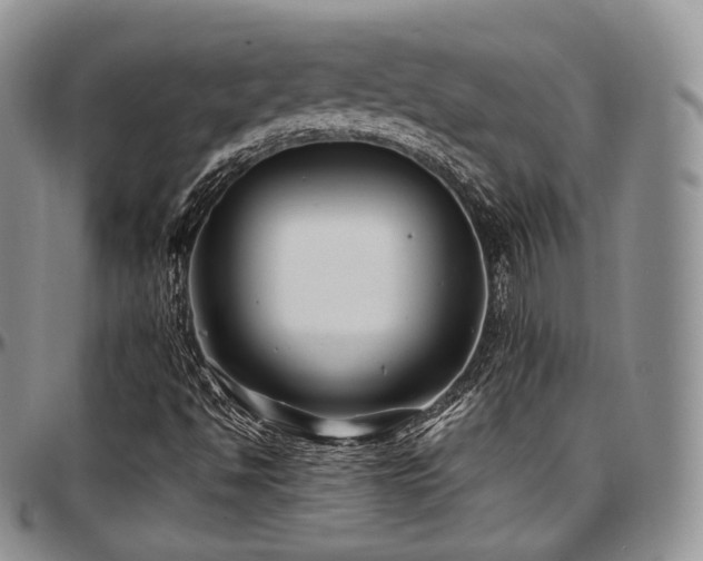 X0000097641494200802291351