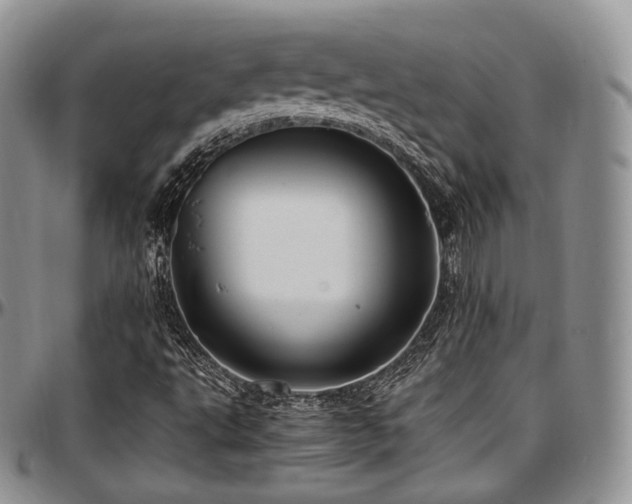 X0000097641495200802291351