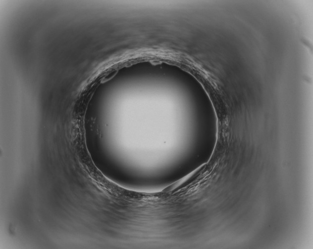 X0000097641496200802291351