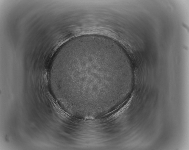 X0000097641497200802291351