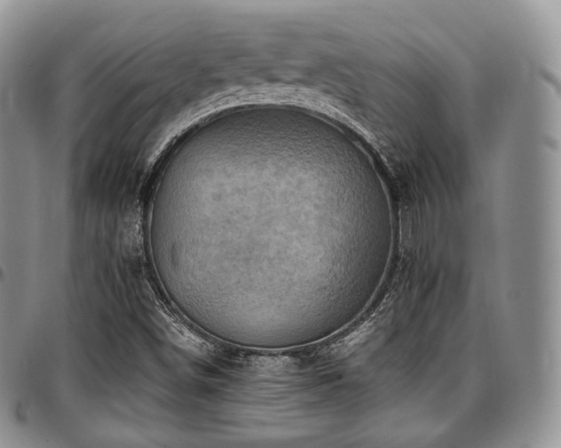 X0000097641498200802291351