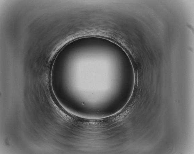 X0000097641500200802291351