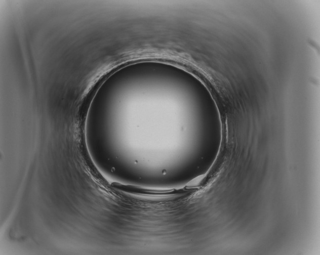 X0000097641501200802291351