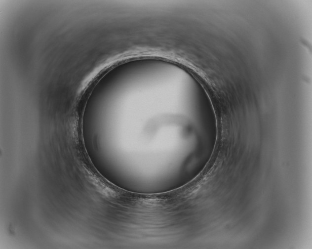 X0000097641502200802291351