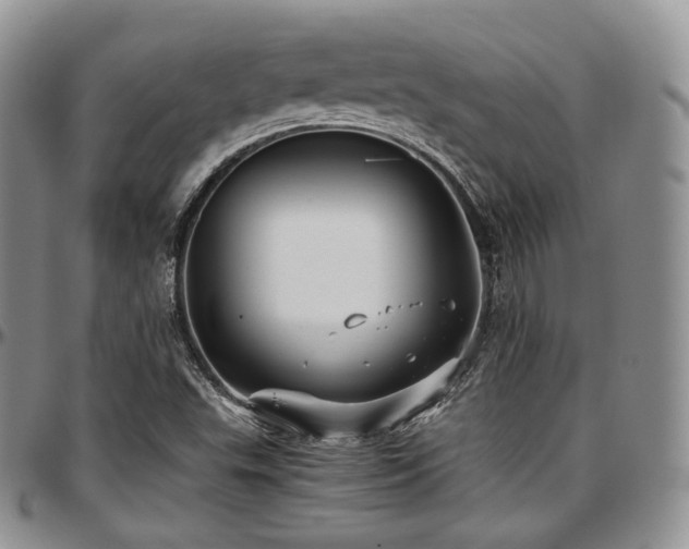 X0000097641503200802291351