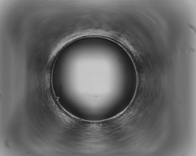 X0000097641504200802291351
