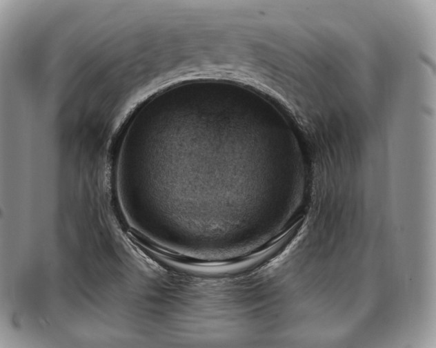 X0000097641506200802291352