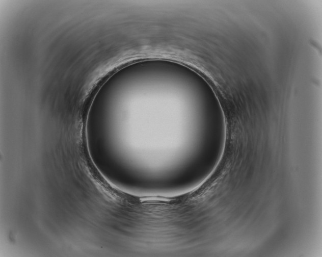 X0000097641507200802291352