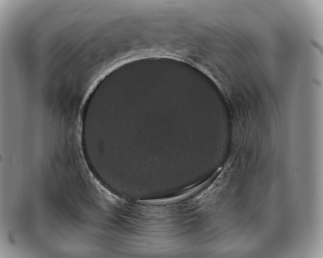 X0000097641508200802291352