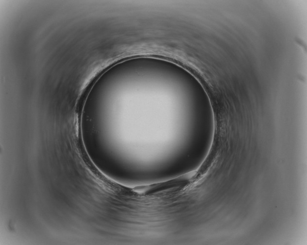 X0000097641509200802291352
