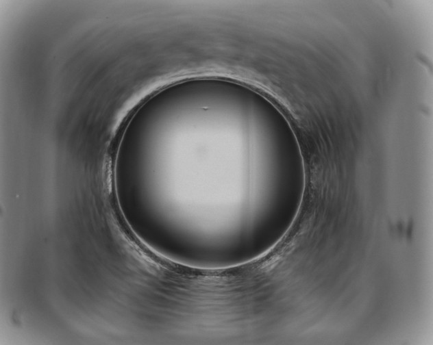 X0000097641510200802291352
