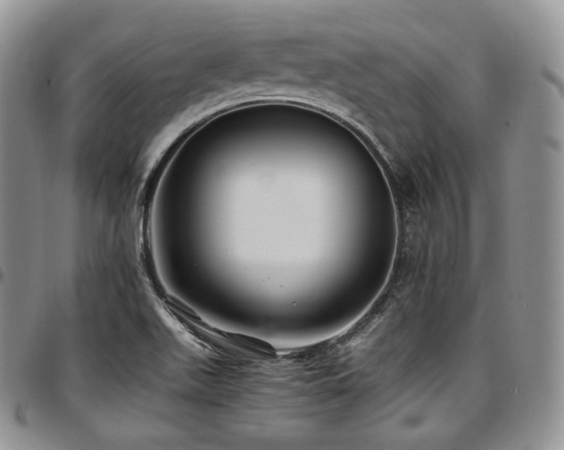 X0000097641511200802291352